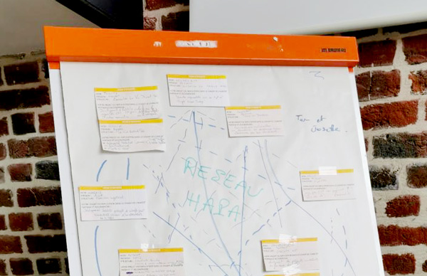 Paper Board de réunions, ateliers du réseau hapa